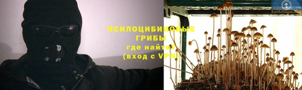 ALPHA PVP Алзамай
