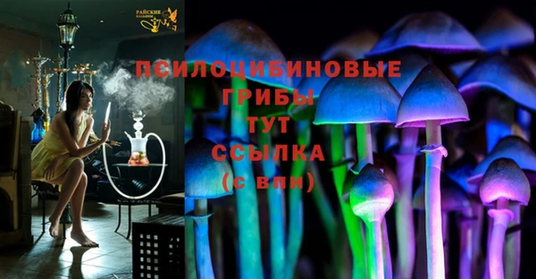 сатива Алексин